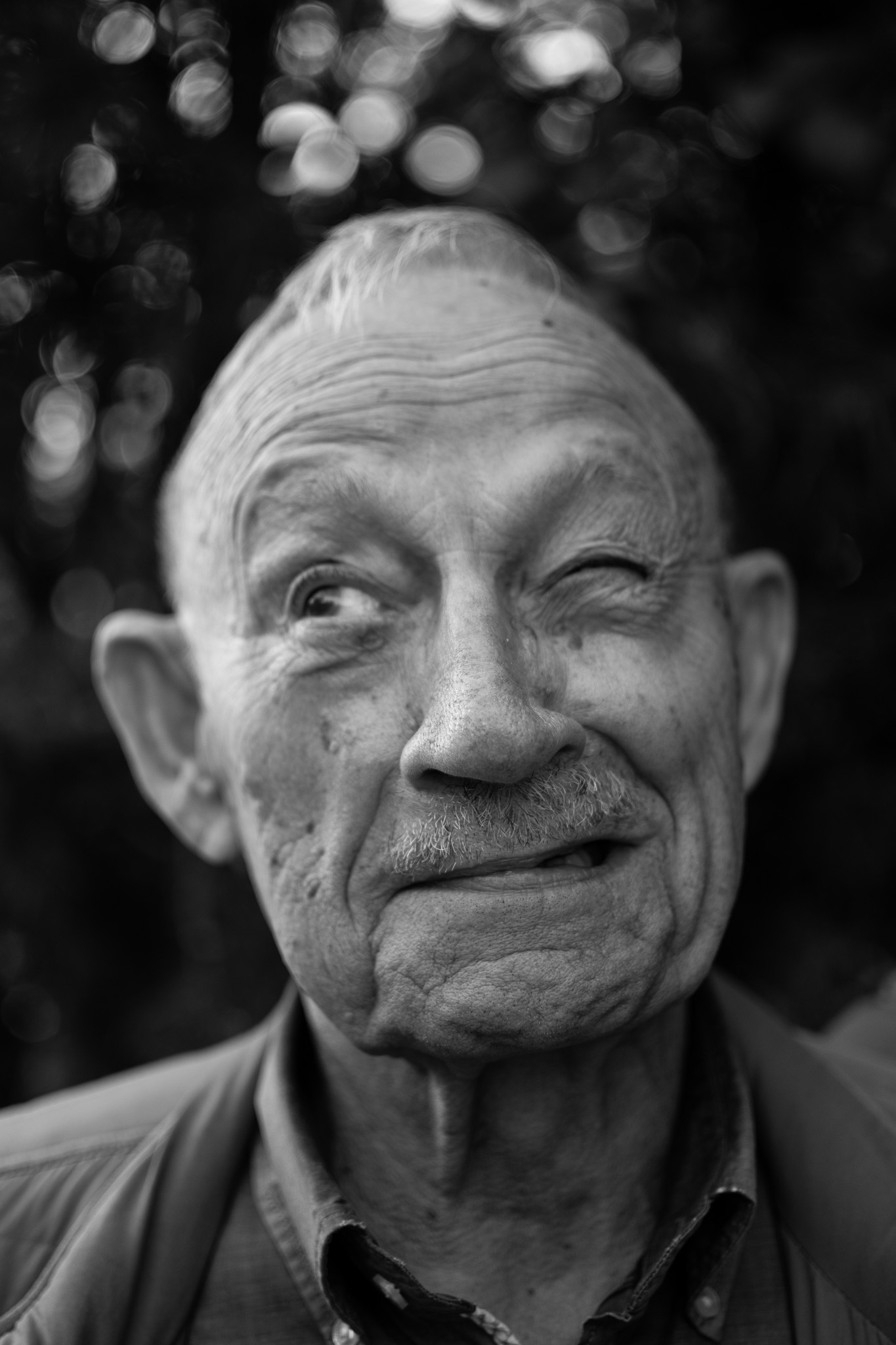 DSC_3786